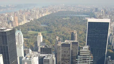 Апартаменты с видом на Центральный парк в Нью-Йорке | AD Magazine