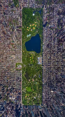 Вид с воздуха на Нью-Йорк, в котором доминирует Центральный парк - PICRYL  Изображение в общественном достоянии