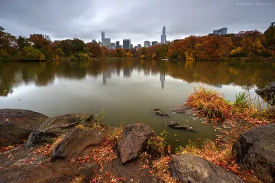 В пруду Центрального парка Нью-Йорка за сутки нашли два трупа - ForumDaily