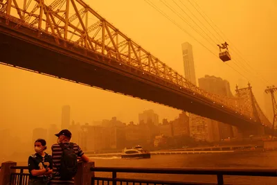 Власти Нью-Йорка из-за лесных пожаров призвали жителей не выходить на улицы  - Газета.Ru | Новости
