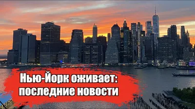 Новые законы, которые вступят в силу в Нью-Йорке в 2024-ом году | RUMesto -  портал русскоязычного сообщества в США