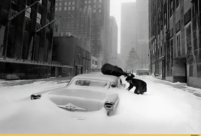 Нью-Йорк (нью йорк) :: старое фото :: 1960 :: зима :: манхэттен :: Америка  :: прошлый век :: фото / смешные картинки и другие приколы: комиксы, гиф  анимация, видео, лучший интеллектуальный юмор.