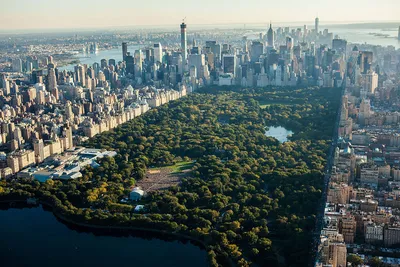Скачать обои вид сверху, небоскребы, нью-йорк, центральный парк, the view  from the top разрешение 800x480 #40949