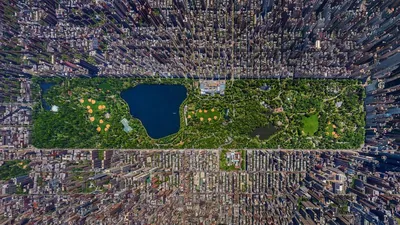 Центральный парк (Нью-Йорк) — Википедия