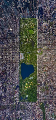 Скачать обои вид сверху, небоскребы, нью-йорк, улицы, the view from the top  разрешение 1600x1200 #42608