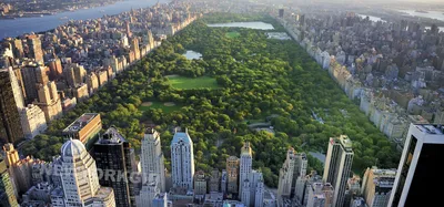 Скачать 2560x1600 new york, нью йорк, вид сверху, утро, небо, небоскребы  обои, картинки