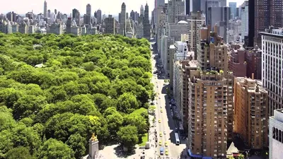 Вид сверху на нью-йорк В манхэттене на закате осени с удивительными цветами  и достопримечательностей небоскребов Стоковое Фото - изображение  насчитывающей строя, зодчества: 201543408