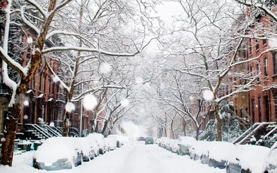 В Нью-Йорк пришла суровая зима: как себя обезопасить - ForumDaily