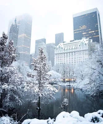 Четыре причины посетить Нью-Йорк во время зимних праздников