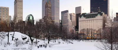 Зима в Центральном Парке Нью-Йорка | Пикабу