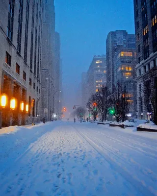 Нью Йорк зимой - фото и картинки: 57 штук