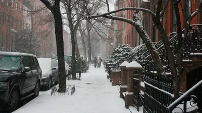 9 вещей, которые надо сделать в Нью-Йорке зимой | Kaplan Blog