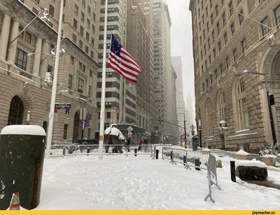 Зима в Нью-Йорке | Пикабу