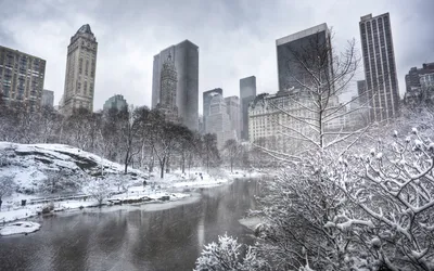 Let it snow: вдохновляемся заснеженным Нью-Йорком на снимках Vivienne Gucwa
