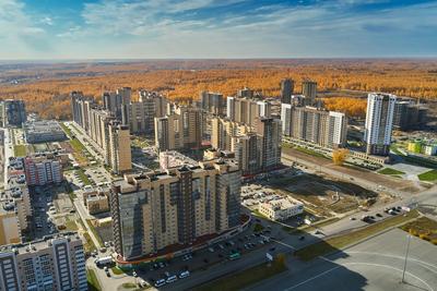 Заказать градостроительный макет в Челябинске: цена и сроки изготовления  макета жилого комлекса Ньютон