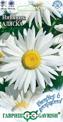 Семена цветов Нивяник Аляска купить с доставкой по Минску и Беларуси