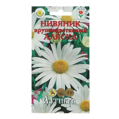 Нивяник наибольший (Leucanthemum maximum) - Нивяник наибольший -  Многолетники - Каталог - LESKOVO-PITOMNIK.ru