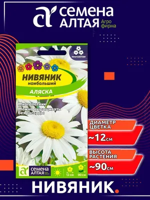 Нивяник наибольший Камилла (Camilla) купить в Киеве, цена — Greensad