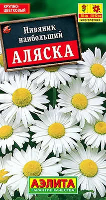 Семена цветов нивяник \"Аляска\" купить по низкой цене - Галамарт
