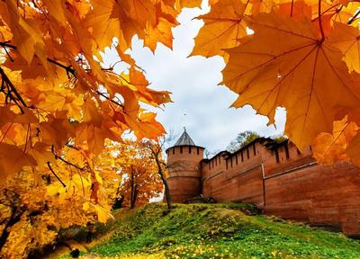Нижний Новгород вошел в ТОП-5 лучших городов для путешествий осенью 22  октября 2020 года | Нижегородская правда