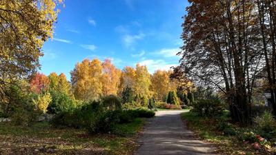 10 идей, чем заняться в Нижнем Новгороде осенью - Блог о лучших местах Нижнего  Новгорода и Нижегородской области