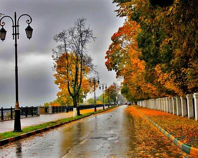 Автозаводский парк яркой осенью | Пикабу