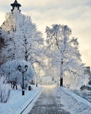 Фантастический зимний закат в Нижнем Новгороде в 10 снимках - 24 февраля  2020 - НН.ру