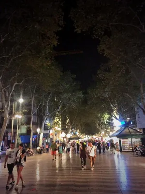 Барселона, одна из самых известных достопримечательностей, видимых ночью,  Испания, Европа Стоковое Фото - изображение насчитывающей популярно,  ландшафт: 148461940