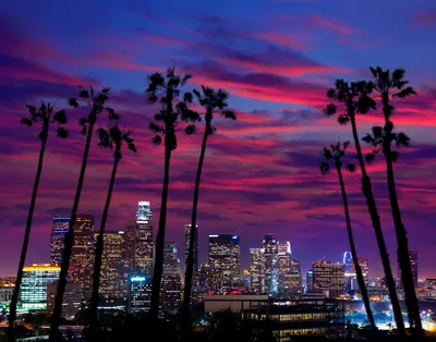 Ночной Лос Анджелес Фото фотографии