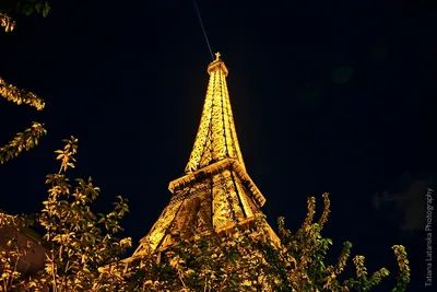 Ночной Париж фото фотографии