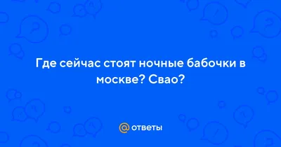 Ночные бабочки\" перемахнули через 3-метровый забор, убегая от полиции  05-02-2021