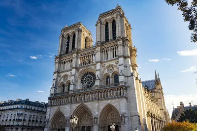 В Париже началась реставрация органа в сгоревшем соборе Нотр-Дам-де-Пари -  РИА Новости, 03.08.2020