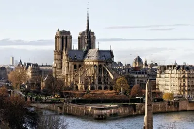 В Париже впервые после пожара открылась площадь перед собором Нотр-Дам