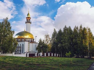 Мусульмане Екатеринбурга победят шум с помощью крика и новой Соборной мечети  - МК Екатеринбург