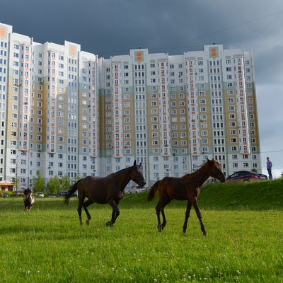 Новая Москва. Новые возможности