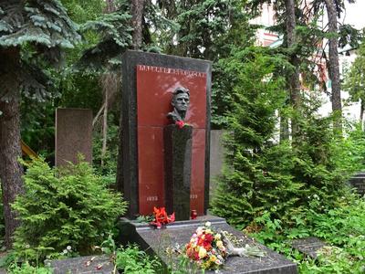 Историк напомнила о дореволюционной цене места на Новодевичьем кладбище |  ИА Красная Весна
