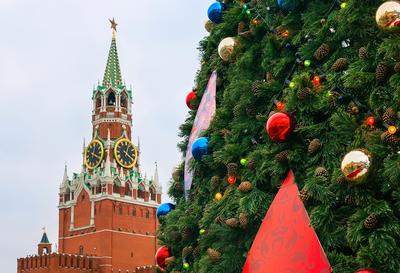 Пять самых дорогих елок России: какие города тратят на них десятки  миллионов рублей - BBC News Русская служба