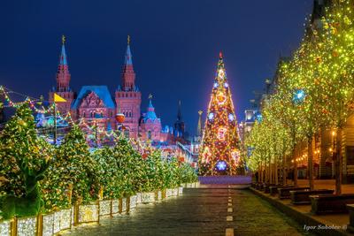 Новогодние каникулы в Москве 3 дня / 2 ночи 2025 | ЮВА-тур