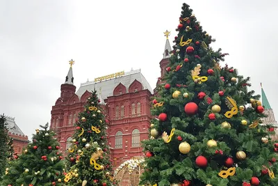 История новогодней ёлки. Зимние украшения Москвы. | Другая Москва | Дзен