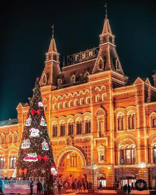 Самая большая новогодняя елка в Москве будет стоять на Лубянской площади ::  Новости :: ТВ Центр