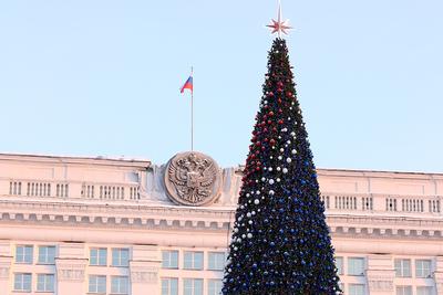 Известия» сообщили о попытке поджога новогодней елки на Красной площади —  РБК