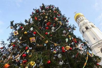 Как устанавливают новогодние елки в городах России - Газета.Ru