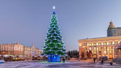 Лучшие новогодние елки Москвы
