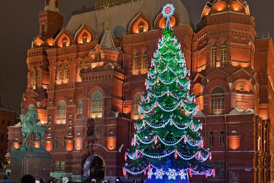 В Москве на выставке «Россия» тульская новогодняя елка сегодня зажжет огни  ТулаСМИ