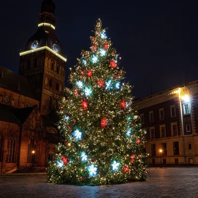 Необычная Рига - 🎄 Главная рижская новогодняя ель на ночной Домской  площади. В этом году, к сожалению, без рождественской ярмарки.. 😔 Чудесное  фото - Ozo photo gallery #Рига #Rīga | Facebook