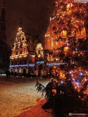 Латвия,Рига - «Новогодняя Рига прекрасна! Делюсь рекомендациями и  фотографиями» | отзывы