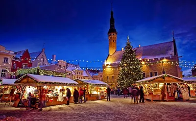 Riga. Christmas tree on Christmas. Stock Photo by ©pillerss 179989620
