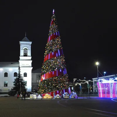 Новогодний Брест в фотографиях: как выглядит город перед праздниками -  29.12.2021, Sputnik Беларусь