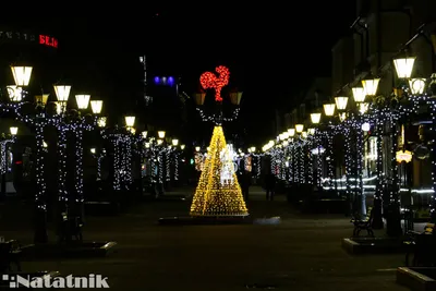 Брест. Новогодняя сказка в социально-педагогическом центре