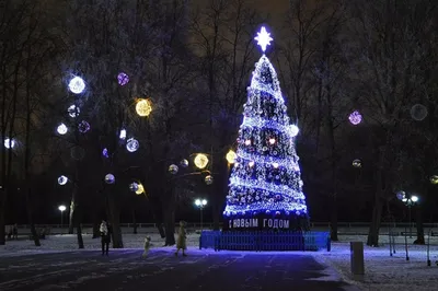 Новогодний вояж в Минск и Брест